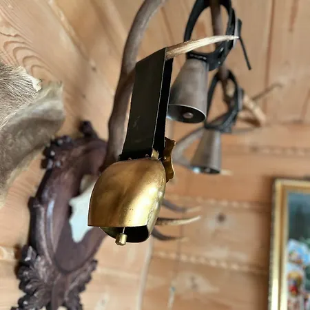 U Kowalczykow 民宿 Groń