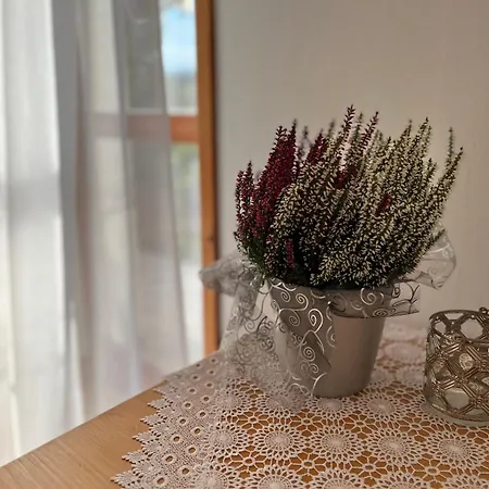 U Kowalczykow 民宿 *