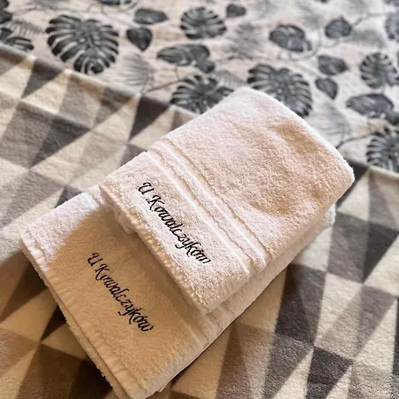 U Kowalczykow 民宿 Groń