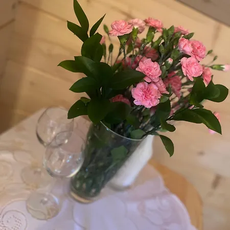 U Kowalczykow Homestay *