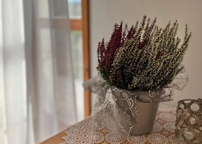 U Kowalczykow Pansiyon *